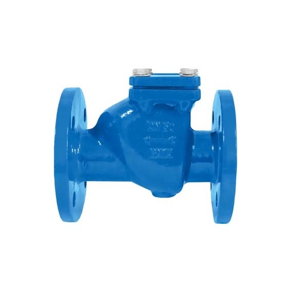 Swing Type Ductile Cast Iron Check Valve BS Standar BS5153